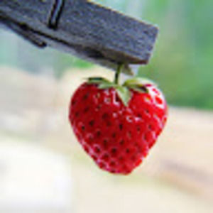 Meet your Posher, Võ